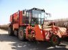   HOLMER CLASIKER