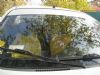 ���� #3 Daewoo Sens  / ��� ���� 