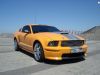 ������� Ford Shelby GT