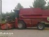   Massey Ferguson 38